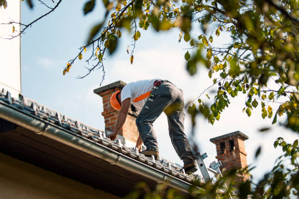 Best Roof Maintenance and Cleaning  in Walker, LA